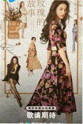 片头与视觉母题结构资料的展示卡片